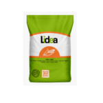 Kukurydza Chianti CS C/1 50tys.n