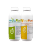 Ochrona fungicydowa zbóż T0 2 ha