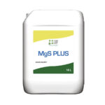 MgS PLUS 10L