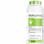 Maksymus 1l