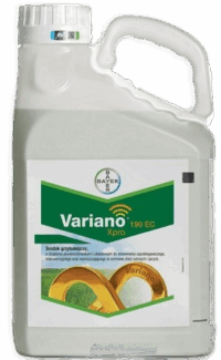wyciete varino