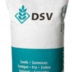 Kukurydza DSV RAFTING  C1 50tys.n