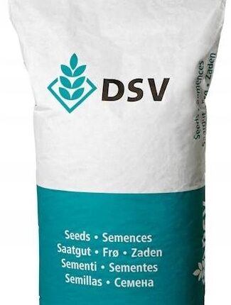 Kukurydza DSV RAFTING  C1 50tys.n