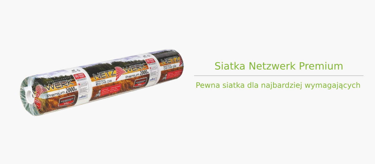 siatka