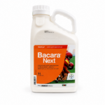 Bacara Next